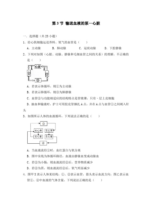 《第3节输送血液的泵—心脏》同步练习