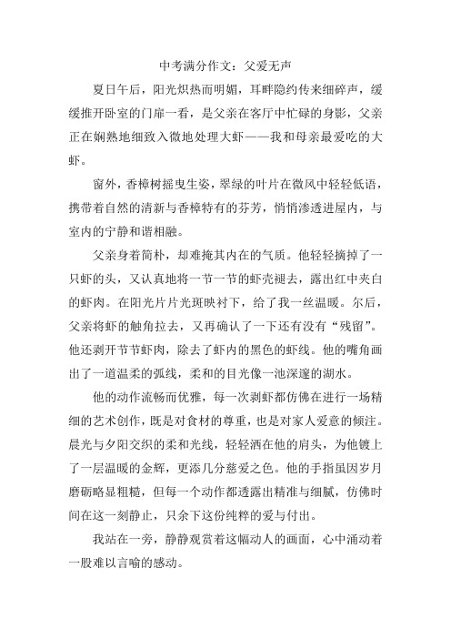 中考满分作文：父爱无声