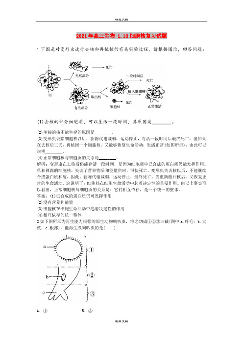 2021年高三生物 1.10细胞核复习试题