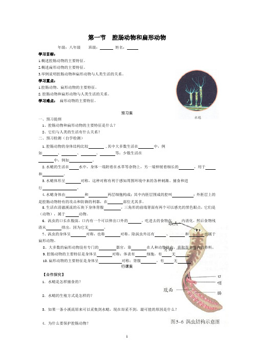 第一节  腔肠动物和扁形动物