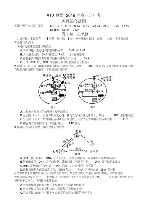 安徽省1号卷A10联盟2019届高三开年考理科综合试题