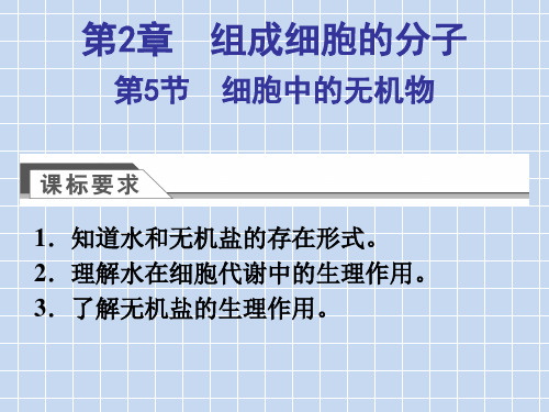 必修1第2章第5节细胞中的无机物 课件 (27张PPT)