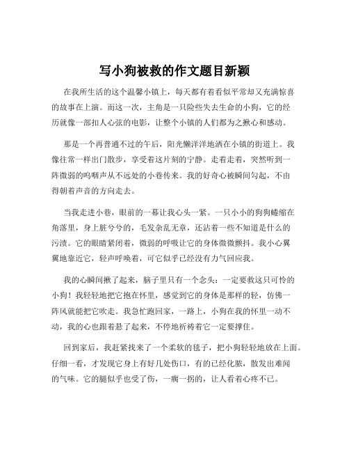 写小狗被救的作文题目新颖