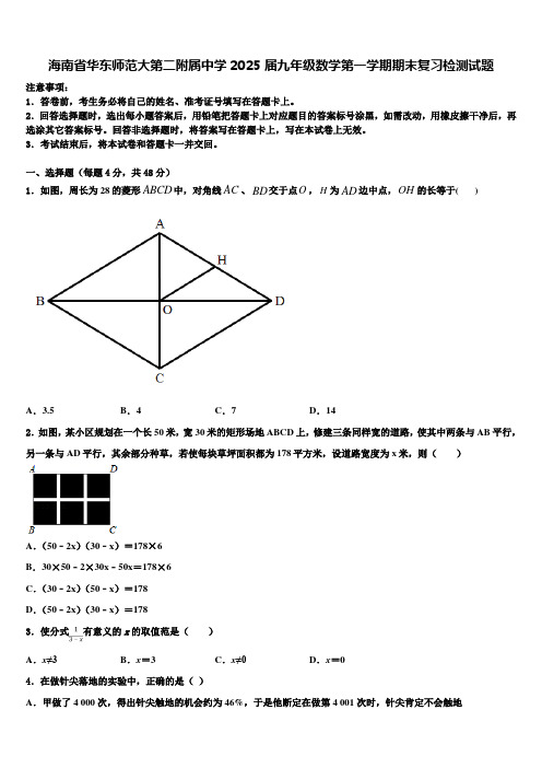 海南省华东师范大第二附属中学2025届九年级数学第一学期期末复习检测试题含解析