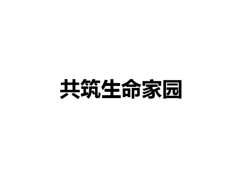 人教版道德与法治九年级上册6.2共筑生命家园课件_4