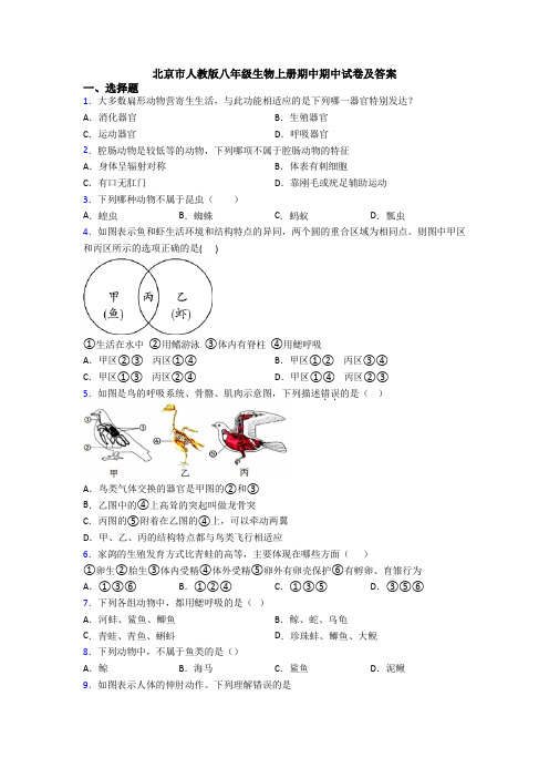 北京市人教版八年级生物上册期中期中试卷及答案