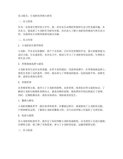 小龙虾的实习报告