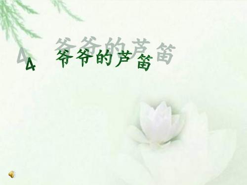 最新语文S版小学语文四年级下册《爷爷的芦笛》公开课课件