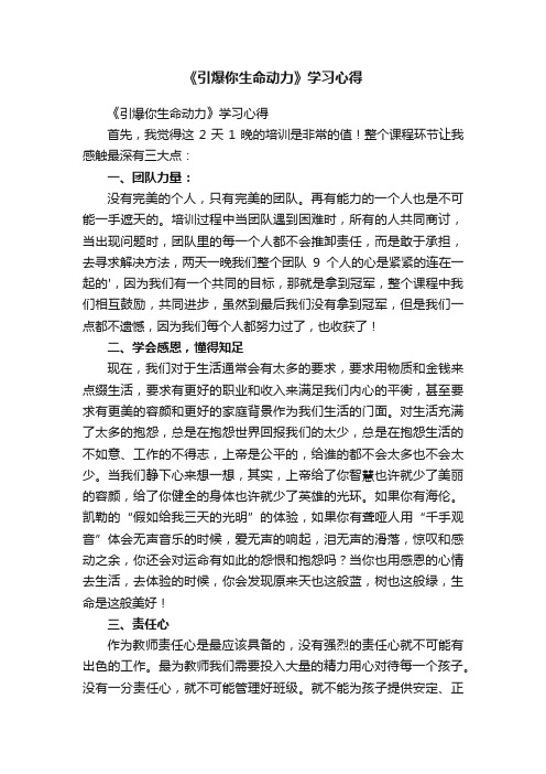 《引爆你生命动力》学习心得