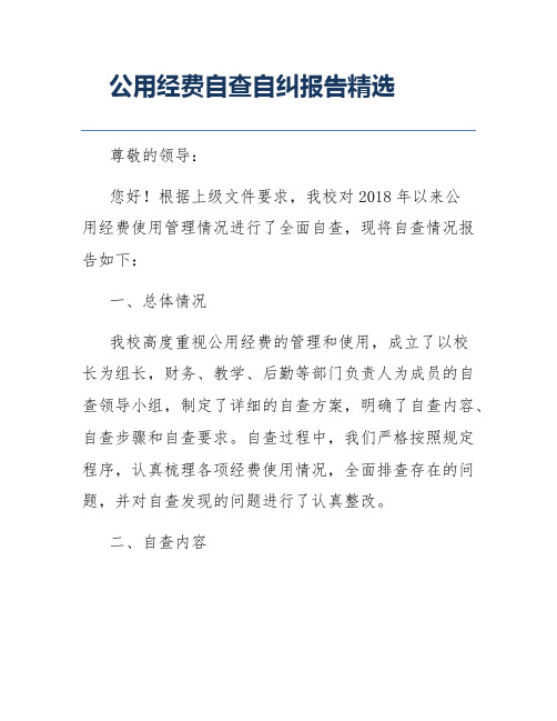 公用经费自查自纠报告精选