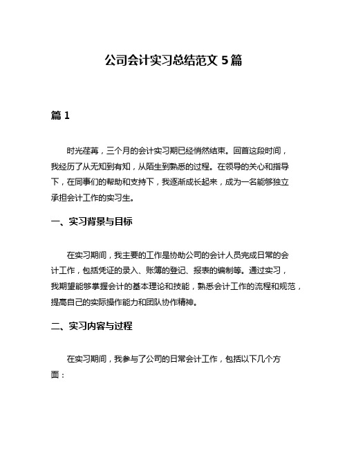 公司会计实习总结范文5篇