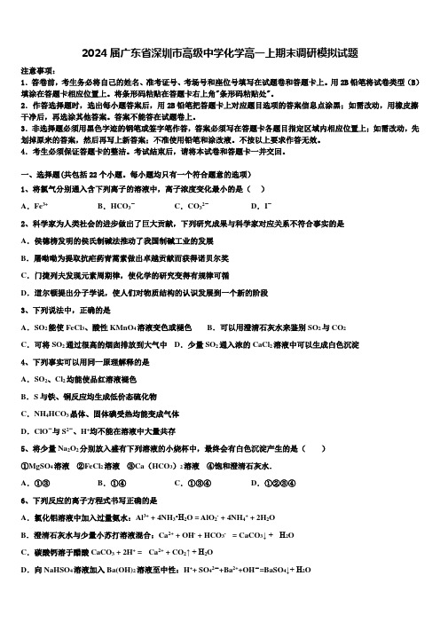 2024届广东省深圳市高级中学化学高一上期末调研模拟试题含解析