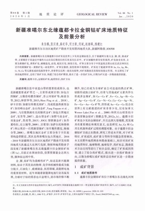 新疆准噶尔东北缘蕴都卡拉金铜钴矿床地质特征及前景分析