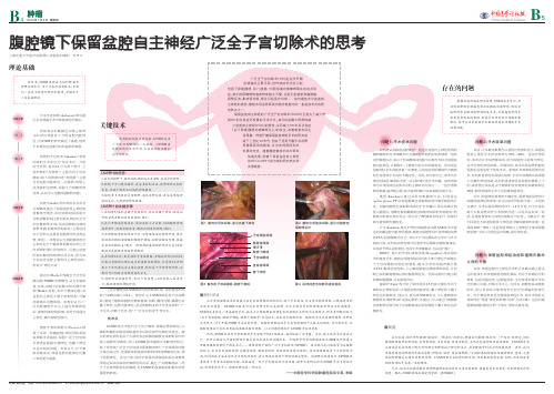 腹腔镜下保留盆腔自主神经广泛全子宫切除术的思考