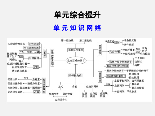 高考生物 一轮复习 单元综合提升 动物生命活动的调节和免疫 浙科版必修3