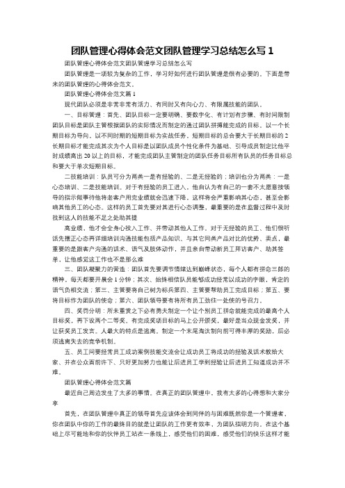 团队管理心得体会范文团队管理学习总结怎么写完整篇