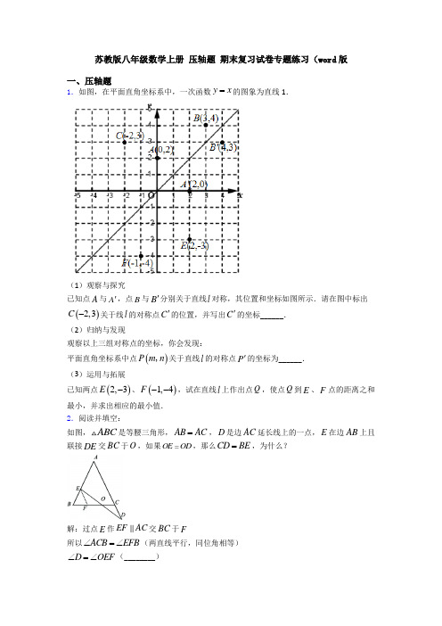 苏教版八年级数学上册 压轴题 期末复习试卷专题练习(word版