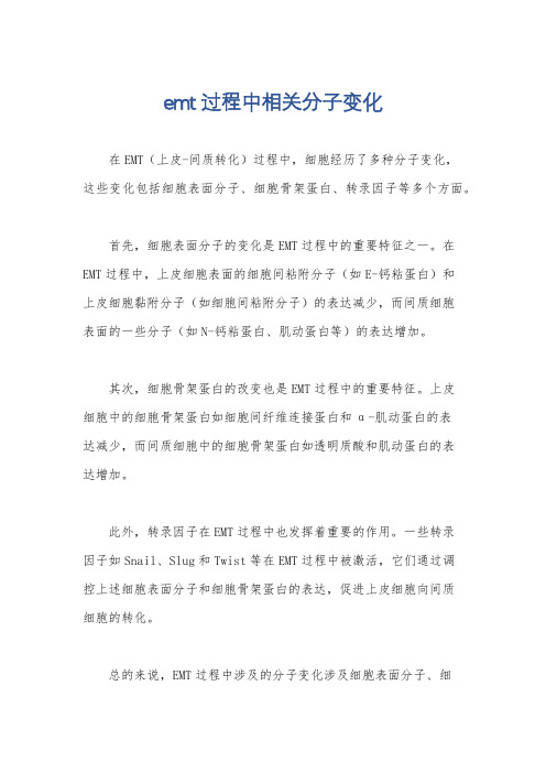 emt过程中相关分子变化