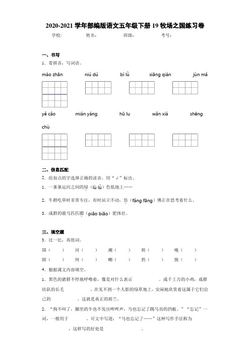 2020-2021学年部编版语文五年级下册19牧场之国练习卷-656
