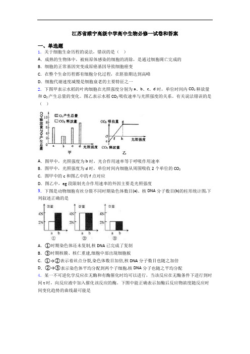 江苏省睢宁高级中学高中生物必修一试卷和答案