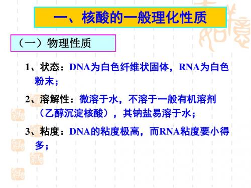 核酸核酸的理化性质