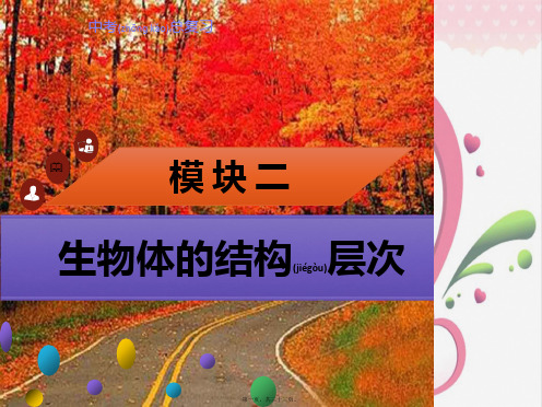 中考生物模块2生物体的结构层次细胞的结构及生活复习