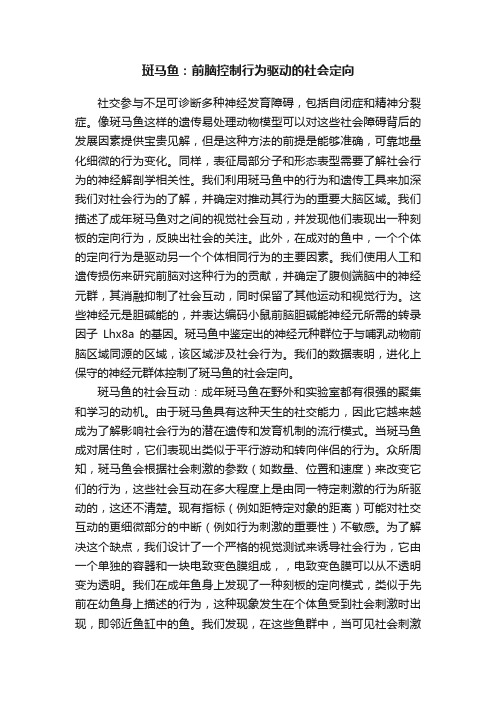 斑马鱼：前脑控制行为驱动的社会定向