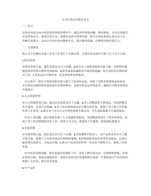 公司自查自纠报告范文