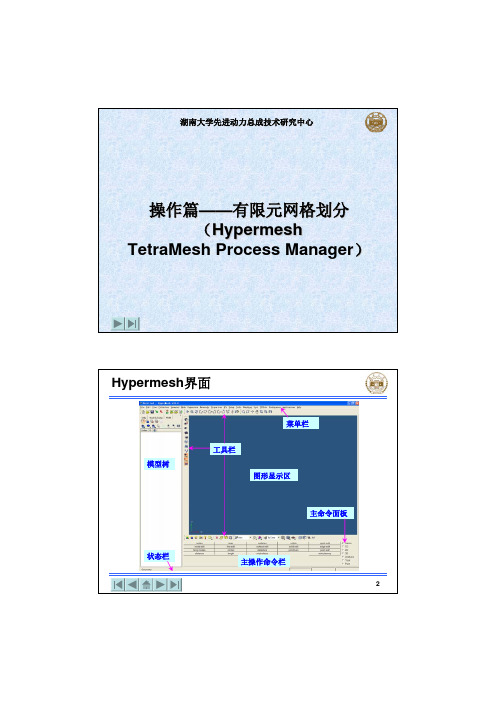 Hypermesh系列之——TetraMesh_process_Manager