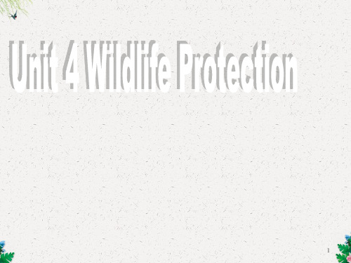 人教版高中英语 必修二 Unit4 《Wildlife  protection  ---Reading》 课件2