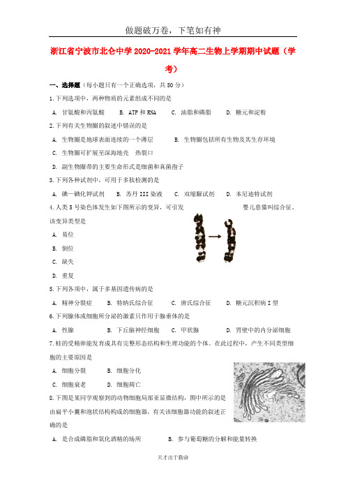 浙江省宁波市北仑中学2020_2021学年高二生物上学期期中试题学考2