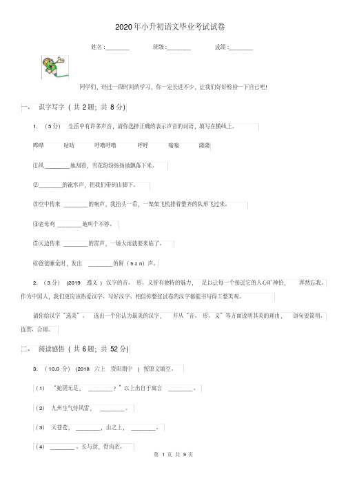 2020年小升初语文毕业考试试卷.pdf