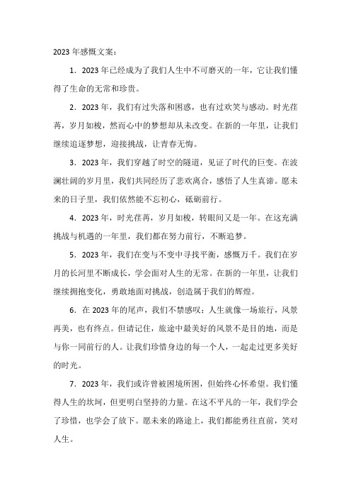 2023年感慨文案