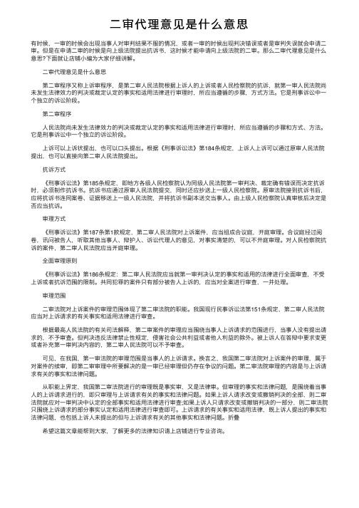 二审代理意见是什么意思