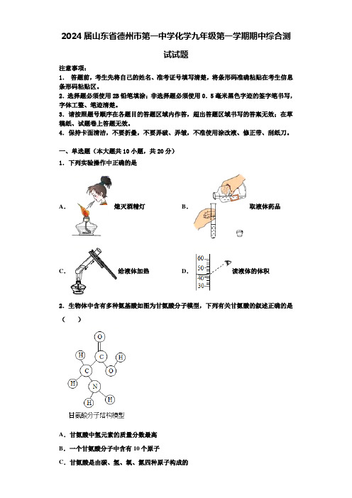 2024届山东省德州市第一中学化学九年级第一学期期中综合测试试题含解析