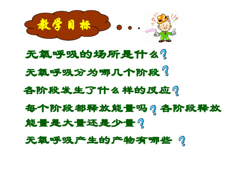 无氧呼吸