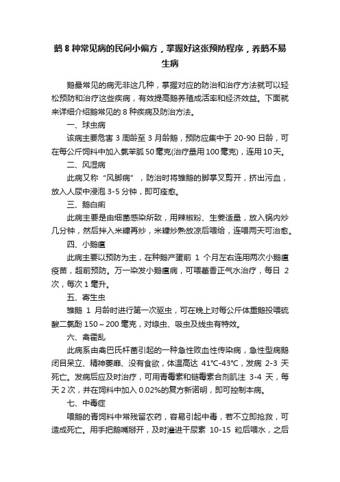 鹅8种常见病的民间小偏方，掌握好这张预防程序，养鹅不易生病