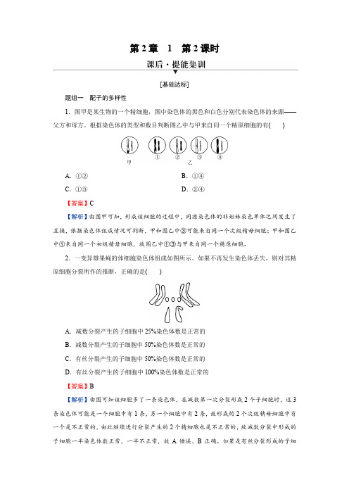 人教版高中生物必修2第2章1减数分裂和受精作用第2课时练习含答案