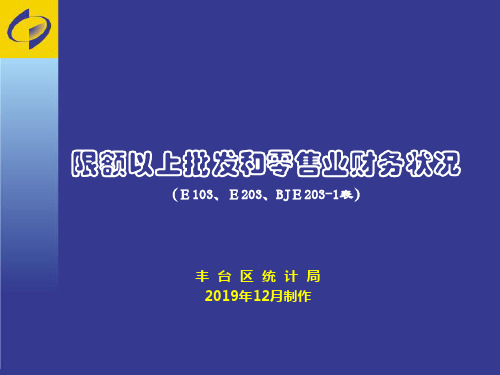 限额以上批发和零售业财务状况(E103、E203、BJE203-1表