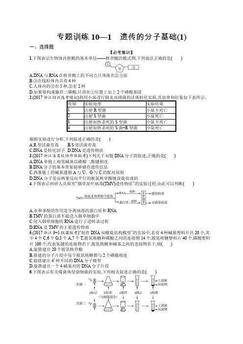 2020届浙江高考生物(选考)专题训练：10 遗传的分子基础(1) Word版含解析