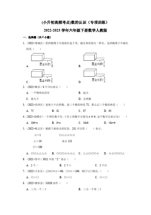 数的认识(专项训练)2022-2023学年六年级下册数学人教版