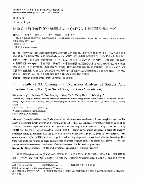 甜高梁可溶性酸性转化酶基因(SAI-1)cDNA全长克隆及表达分析