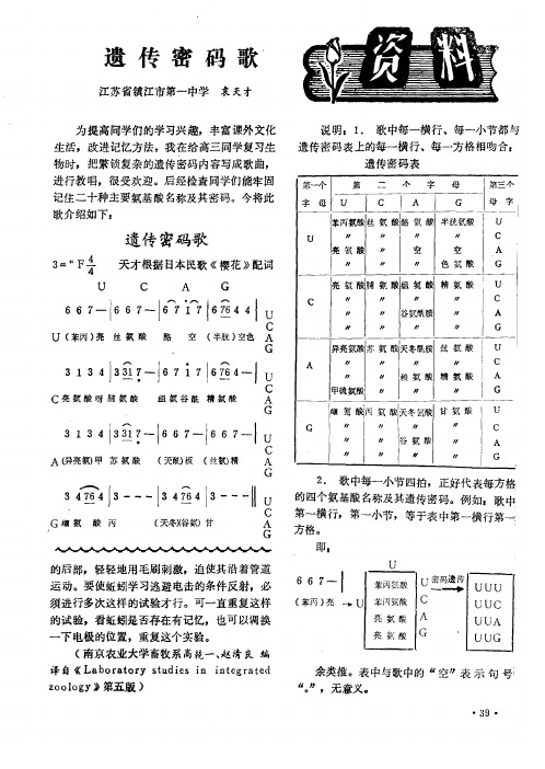 遗传密码歌