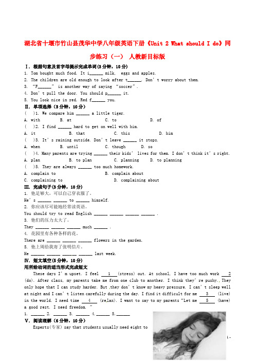 湖北省十堰市竹山县茂华中学八年级英语下册《Unit 2 What should I do》同步练习(一) 人教新目标版