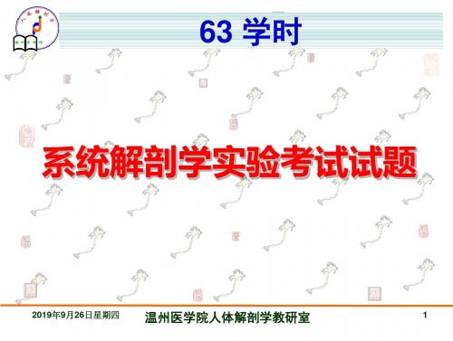 63学时 系统解剖学实验考试试题