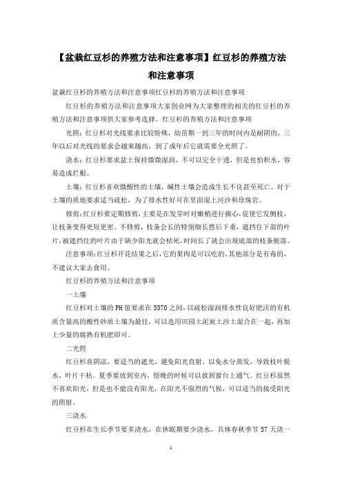 【盆栽红豆杉的养殖方法和注意事项】红豆杉的养殖方法和注意事项