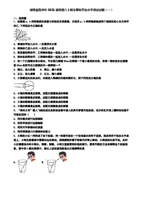 湖南省株洲市2021届物理八上期末模拟学业水平测试试题(一)