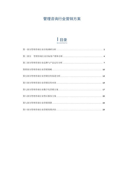 管理咨询行业营销方案