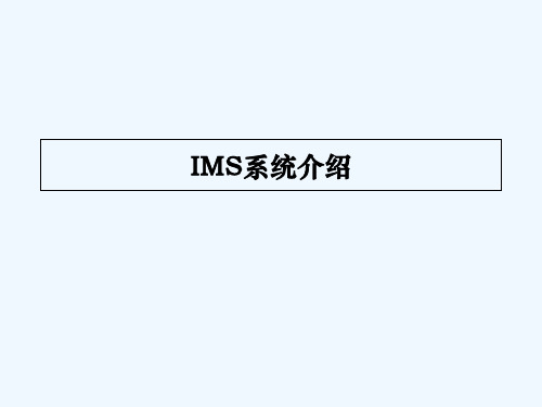 IMS系统介绍 PPT