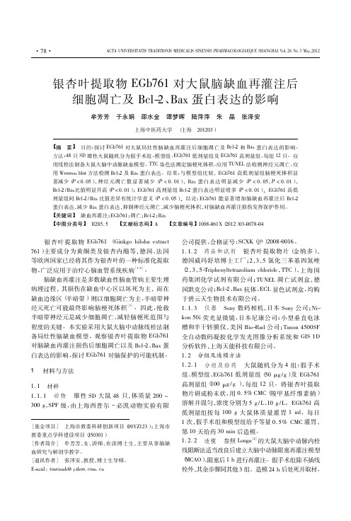 银杏叶提取物EGb761对大鼠脑缺血再灌注后细胞凋亡及Bcl-2、Bax蛋白表达的影响